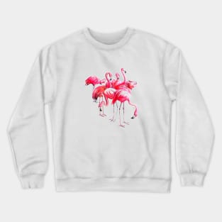 Flamingo's Crewneck Sweatshirt